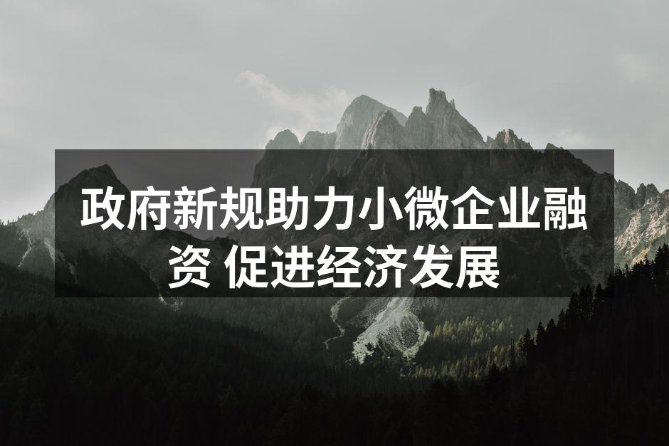 政府新规助力小微企业融资 促进经济发展